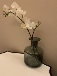 -恒美雅轩·品牌直营连锁