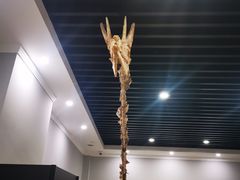 -游龙石文化科普馆