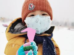 -绿野森林乐园冰雪季