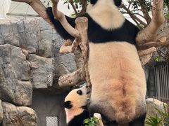 -香港海洋公园