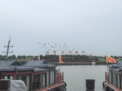 -南大港湿地风景区