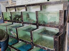 -众味海鲜大排档·活海鲜·潮汕味(南澳店)