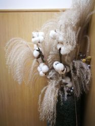 -THE LOG SALON 记录