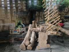 -泉州海丝野生动物世界