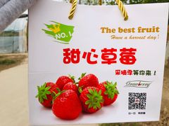 -甜心庄园·甜心草莓采摘园(西青中北店)