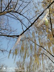 -玄武湖景区-情侣园游乐场
