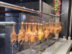-三强鸽子(中原路店)