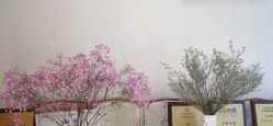 -Cocodemer女性健康·产后恢复(天一广场店)