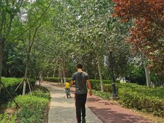 -绿岛公园(滨海新区)