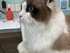 -嘉馨宠物医院·CT影像转诊·心脏科·犬猫全科诊疗中心(下沙大学城院区)
