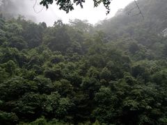 -大七孔景区-天生桥
