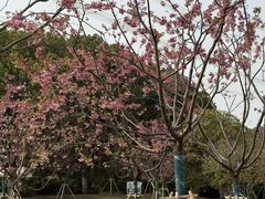 -梁鸿国家湿地公园