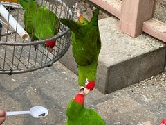 -南宫五洲植物乐园