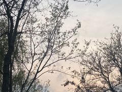 -廊坊文化艺术中心