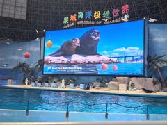 -泉城欧乐堡海洋极地世界