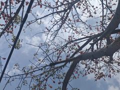 -白鹭洲公园