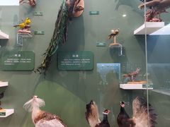 -国家自然博物馆