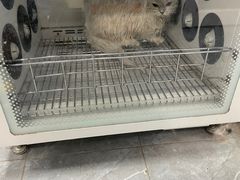 -宠福鑫康馨动物医院·骨科·眼科