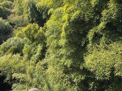 -九华秋浦胜境大王洞风景区