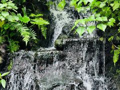 -海口火山口国家地质公园