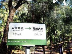 -大京沙滩