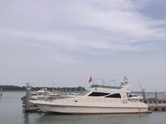 -日照海滨国家森林公园