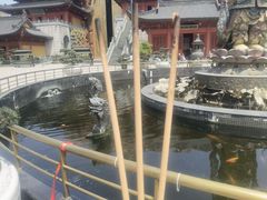 -上海东林寺(金山区)