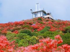 -大围山国家森林公园