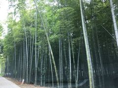 -天目湖御水温泉·度假酒店