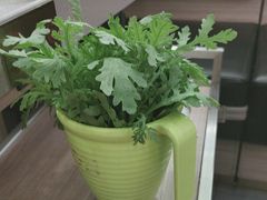 -巴蜀王婆大虾(南锣鼓巷店)