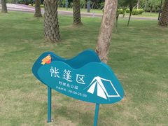 -野狸岛