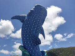 -珠海长隆海洋王国