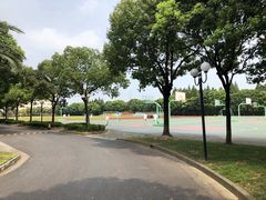 -上海市民办金苹果学校