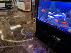 -宜昌富力皇冠假日酒店·咖啡1号西餐厅