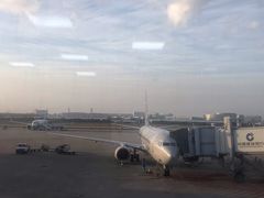 -厦门高崎国际机场-T3航站楼