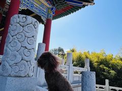 -终南山古楼观历史文化景区