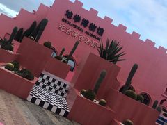 -漳州滨海火山岛自然生态风景区