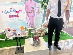 -大商麦凯乐(大连总店)