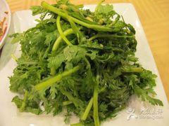 九毛九山西手工面(水荫店)-九毛九西北菜(水荫店)