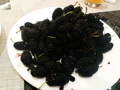 桑椹-东方红海鲜百汇(国际大厦店)