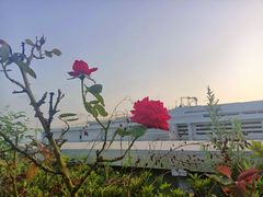 -海尔世界家电博物馆