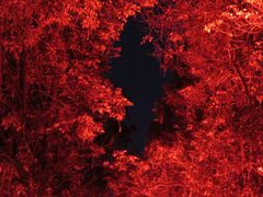 -文华公园(禅城区)