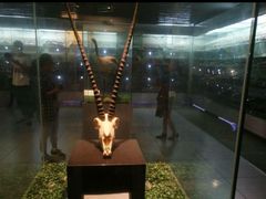 -四川农业大学(雅安校区)