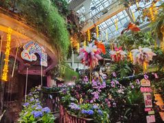 -正佳雨林生态植物园