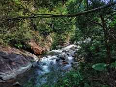 -广州市石门国家森林公园
