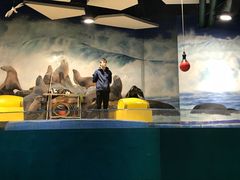 -梦幻海洋王国(吾悦广场张家港店)