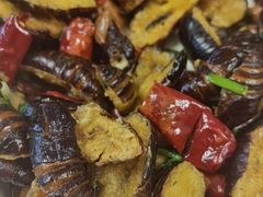 -河鱼鲜特色农家院
