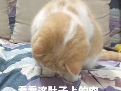 -京和风食堂·定食寿喜锅(保利樾广场店)