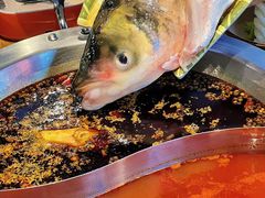 -铭记蛙小仙·活蛙畅享(CBD万达广场店)