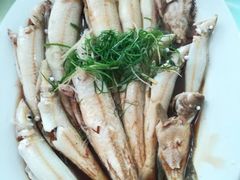 -老字号蛇口德记烧腊饭店·海鲜加工
